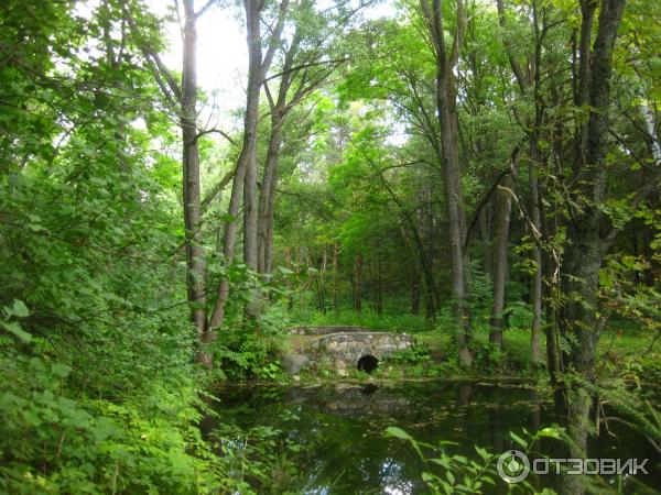 Дендрологический парк (Россия, Переславль-Залесский) фото