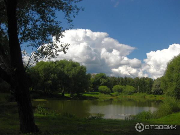 Дендрологический парк (Россия, Переславль-Залесский) фото