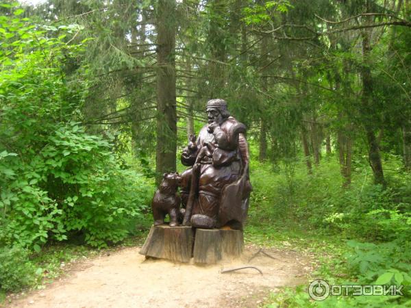 Дендрологический парк (Россия, Переславль-Залесский) фото