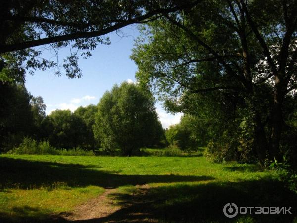 Дендрологический парк (Россия, Переславль-Залесский) фото