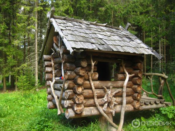 Дендрологический парк (Россия, Переславль-Залесский) фото