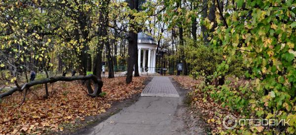 Музей-заповедник Царицыно (Россия, Москва) фото