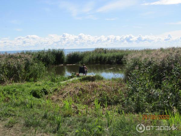 Экскурсия в пос. Морское (Россия, Куршская коса) фото