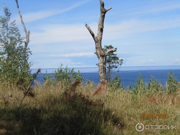 Экскурсия в пос. Морское (Россия, Куршская коса) фото