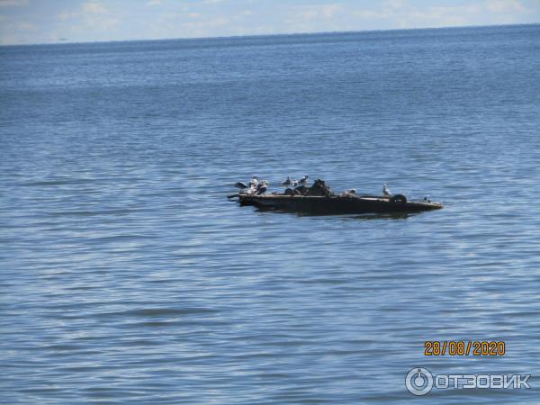 Экскурсия в пос. Морское (Россия, Куршская коса) фото