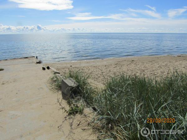 Экскурсия в пос. Морское (Россия, Куршская коса) фото