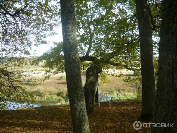 Экскурсия в Псковскую область (Россия, Псковская область) фото