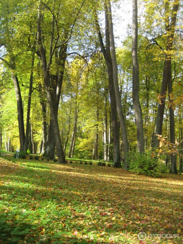 Экскурсия в Псковскую область (Россия, Псковская область) фото