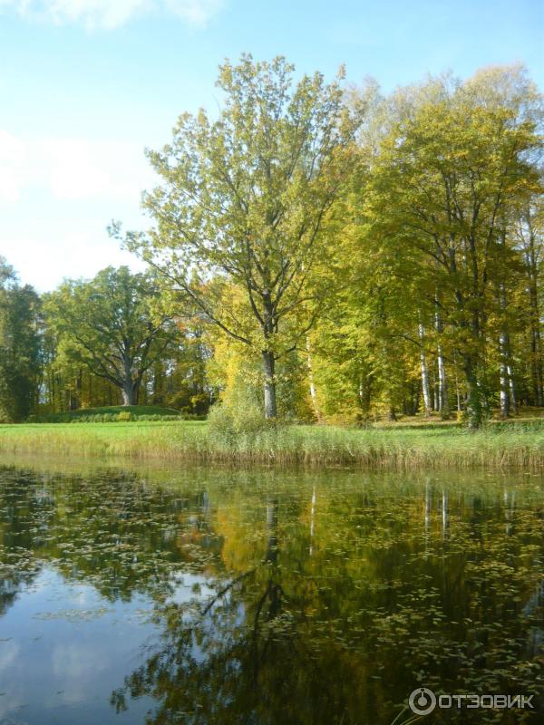 Экскурсия в Псковскую область (Россия, Псковская область) фото