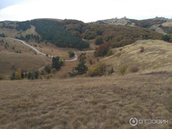 Ялтинский горно-лесной природный заповедник (Крым) фото