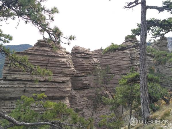 Ялтинский горно-лесной природный заповедник (Крым) фото