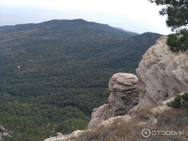 Ялтинский горно-лесной природный заповедник (Крым) фото