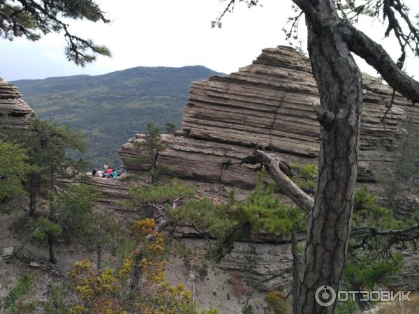 Ялтинский горно-лесной природный заповедник (Крым) фото