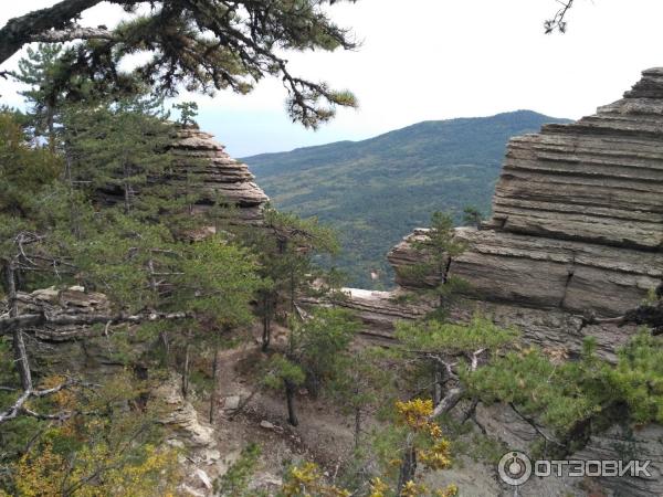 Ялтинский горно-лесной природный заповедник (Крым) фото