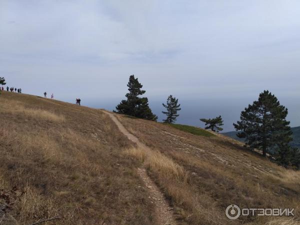 Ялтинский горно-лесной природный заповедник (Крым) фото