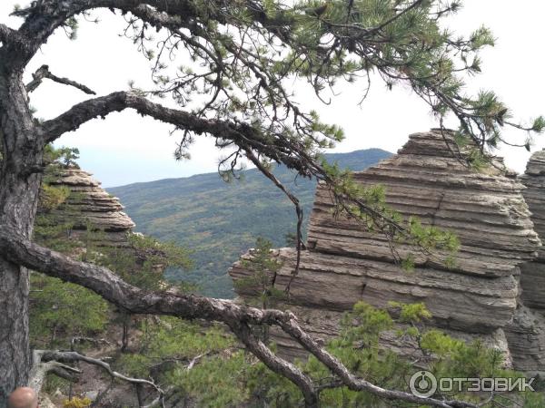 Ялтинский горно-лесной природный заповедник (Крым) фото