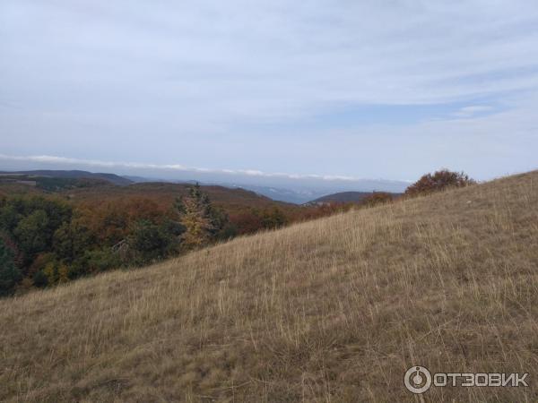 Ялтинский горно-лесной природный заповедник (Крым) фото