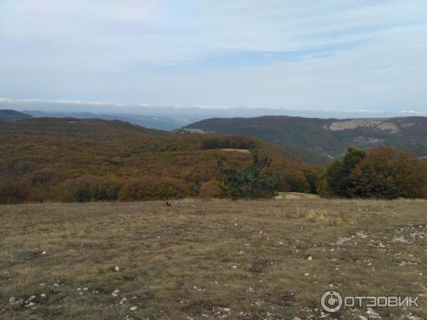 Ялтинский горно-лесной природный заповедник (Крым) фото