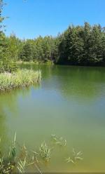 Голубое озеро (Россия, Воскресенск) фото