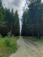 Голубое озеро (Россия, Воскресенск) фото