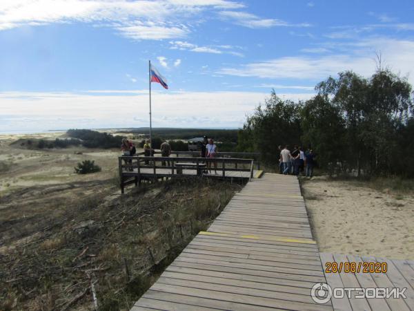 Куршская коса: дюна Эфа (Россия, Калининградская область) фото