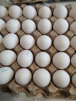 Яйца куриные Yaratelle фото