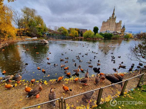 Московский Зоопарк (Россия, Москва) фото