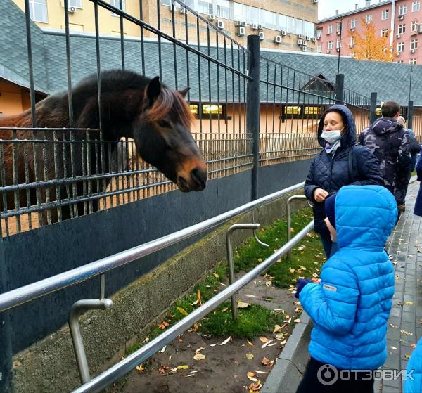 Московский Зоопарк (Россия, Москва) фото