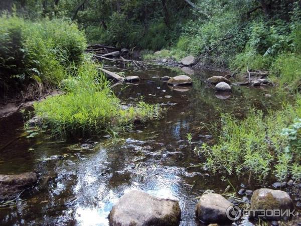 Экскурсия Святыни села Сизьмы (Россия, Вологодская область) фото