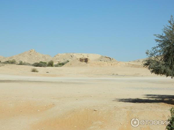 Зоопарк Аль-Айна (Al Ain Zoo) (ОАЭ, Аль-Айн) фото