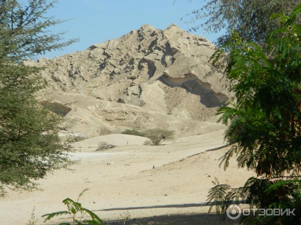 Зоопарк Аль-Айна (Al Ain Zoo) (ОАЭ, Аль-Айн) фото