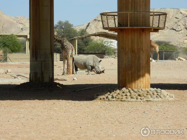 Зоопарк Аль-Айна (Al Ain Zoo) (ОАЭ, Аль-Айн) фото