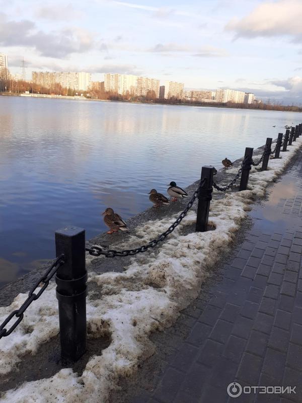 Братеевский каскадный парк (Россия, Москва) фото