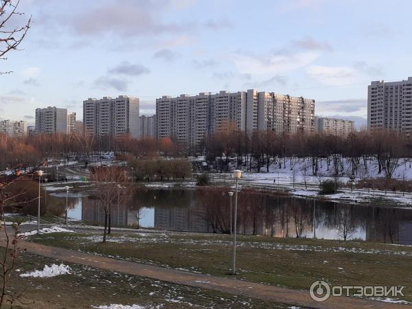 Братеевский каскадный парк (Россия, Москва) фото