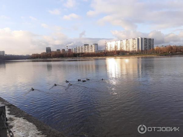 Братеевский каскадный парк (Россия, Москва) фото