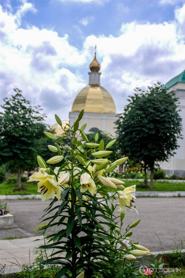 Мужской монастырь Спаса Нерукотворного пустынь (Россия, Клыково) фото