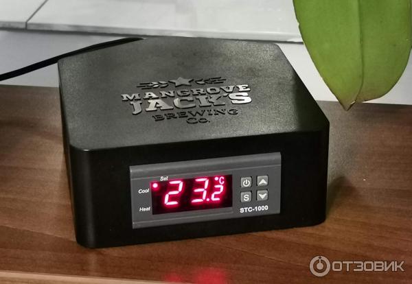 Mangrove Jack s. Общий вид