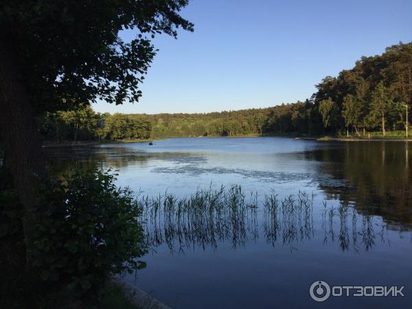 Озеро Тихое (Россия, Светлогорск) фото