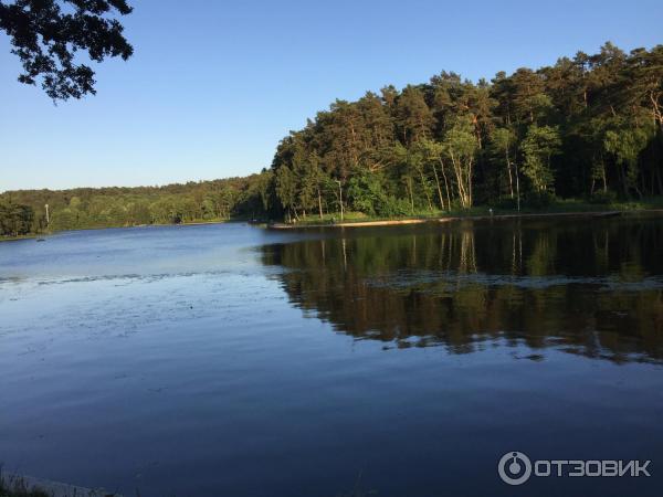 Озеро Тихое (Россия, Светлогорск) фото