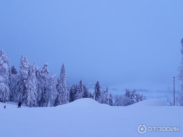 Тропа здоровья Золотая Долина (Россия, Коробицыно) фото