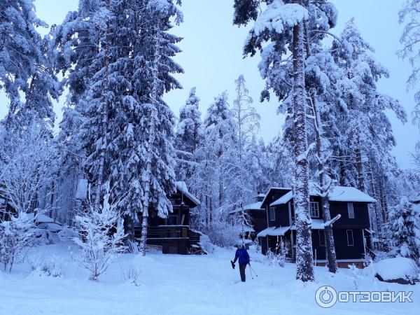 Тропа здоровья Золотая Долина (Россия, Коробицыно) фото