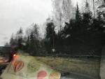 Трасса М10 (Россия, Санкт-Петербург-Москва) фото