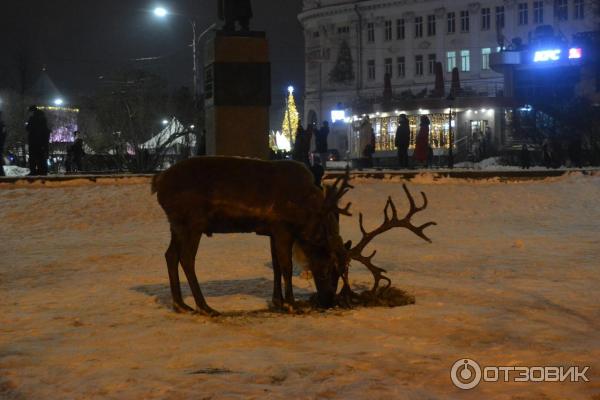 Фестиваль Новогодняя Горьковская елка 2019-2020 (Россия, Нижний Новгород) фото