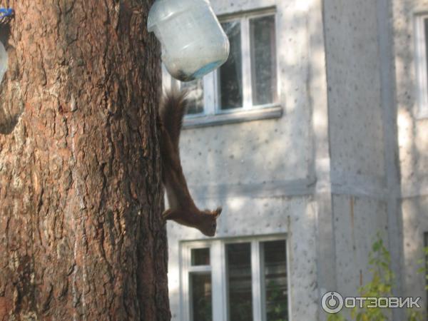 Экскурсия по г. Апатиты (Россия, Мурманская область) фото