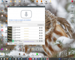 Ummi Video Downloader - программа для Windows фото