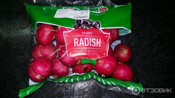 Radish редис