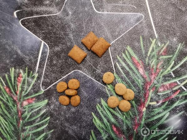 Отзыв о Сухой корм для кошек Royal Canin Renal для взрослых кошек с ...