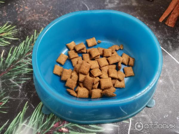 Отзыв о Сухой корм для кошек Royal Canin Renal для взрослых кошек с ...