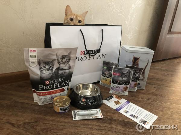 Сухой корм для котят Purina Pro Plan фото