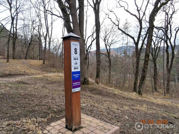 Терренкуры в Кисловодском курортном парке.